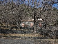 fugio Paterno-20100221 016